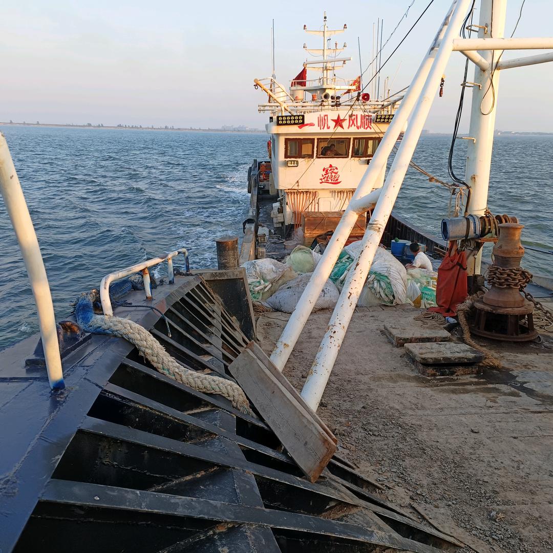 乘风破浪 战鲨鱼~~