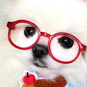 Aaa.肯德基批发佳少^