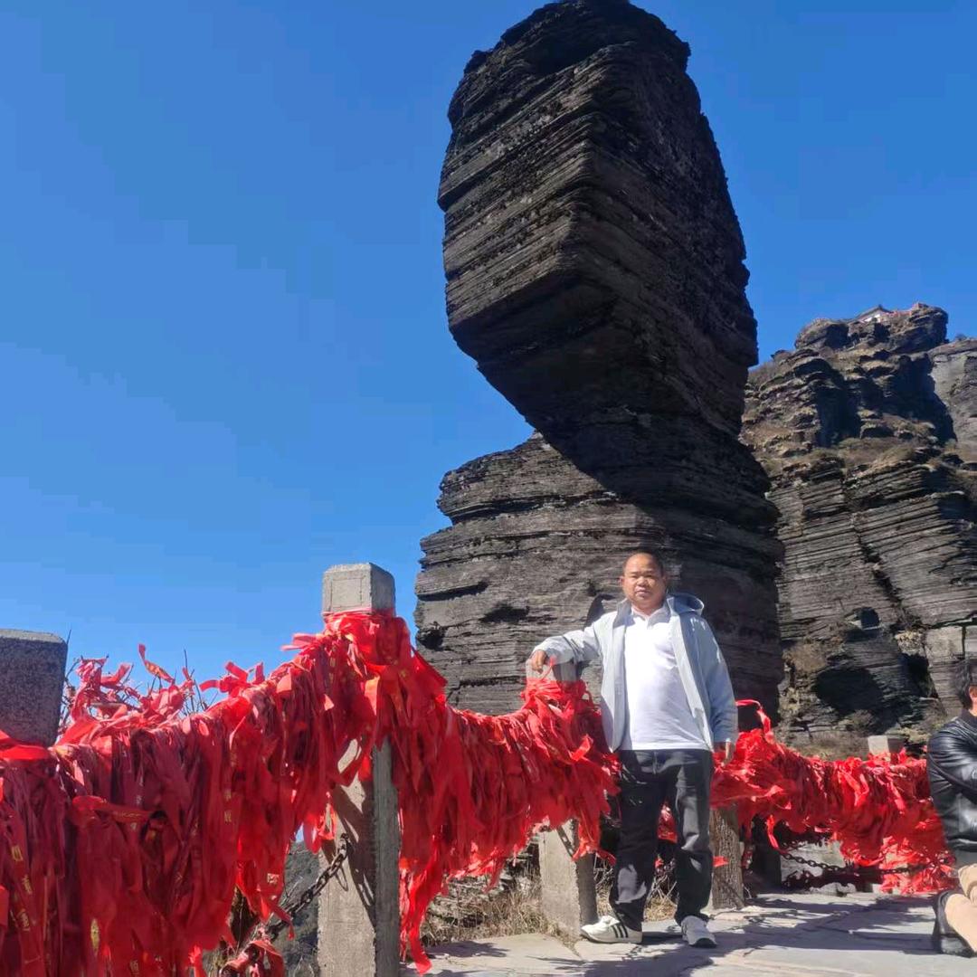 命里有时终须有，命里无时莫强求