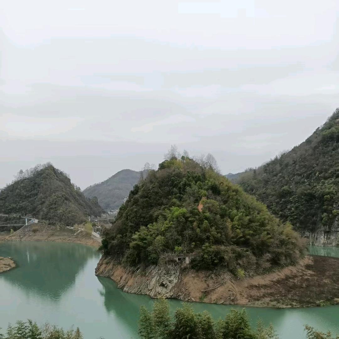 心随梦飞