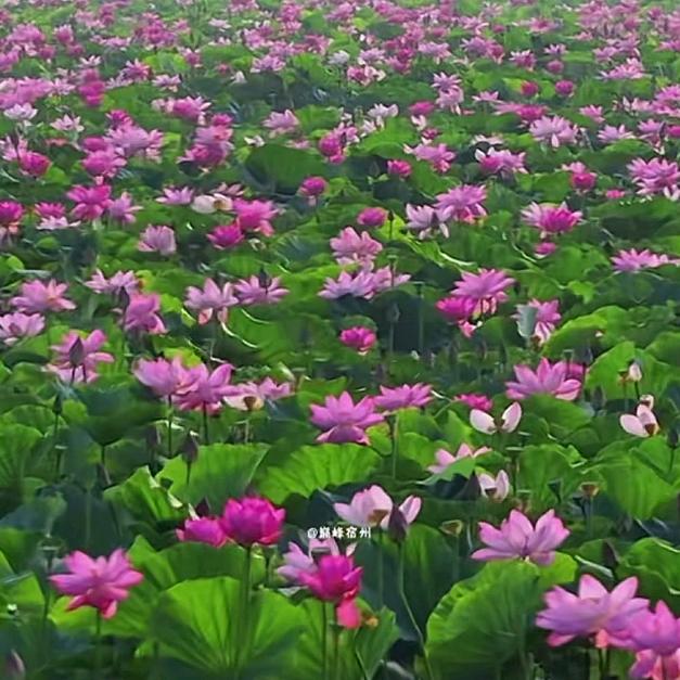 秋天的黄昏