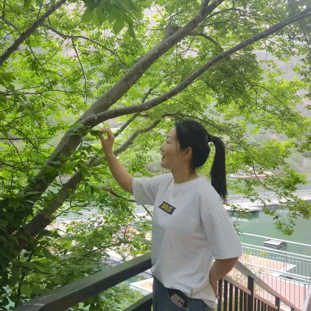 春蕊