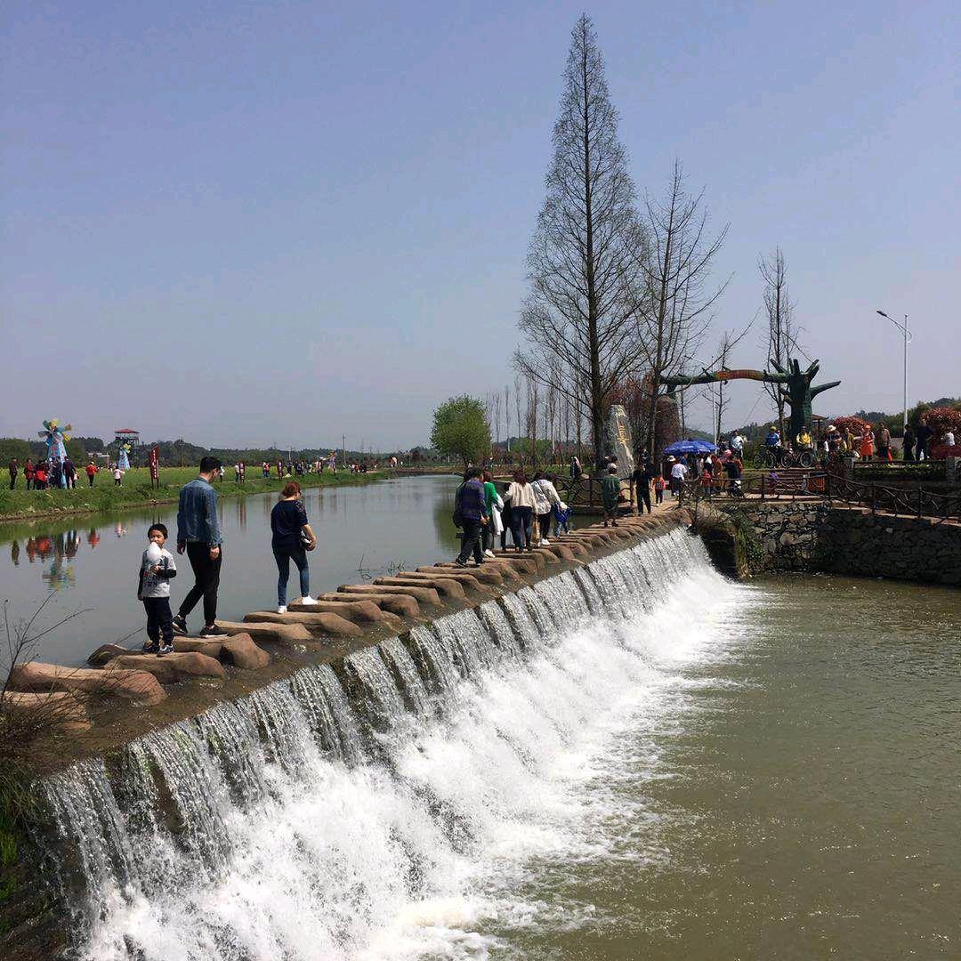 小恐龙