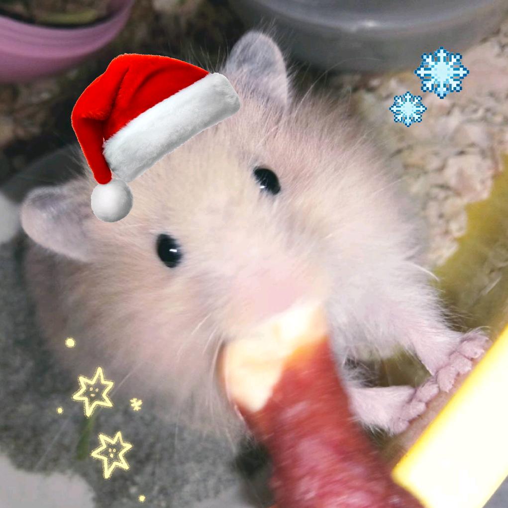 Yi .傻笔小新🐑