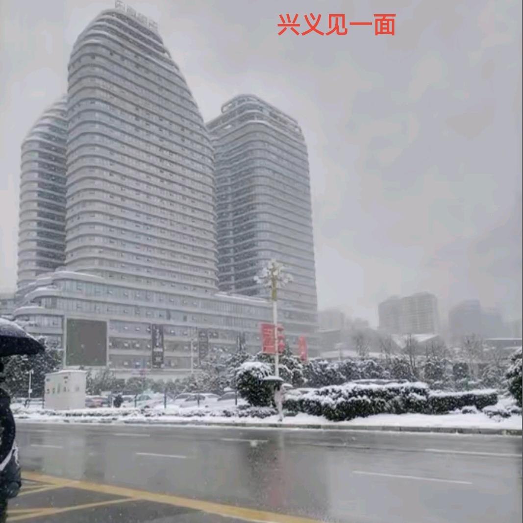 大熊🇨🇳