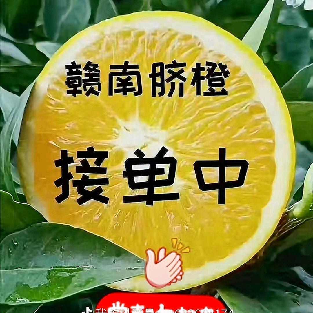 罗呈军（赣南脐橙）