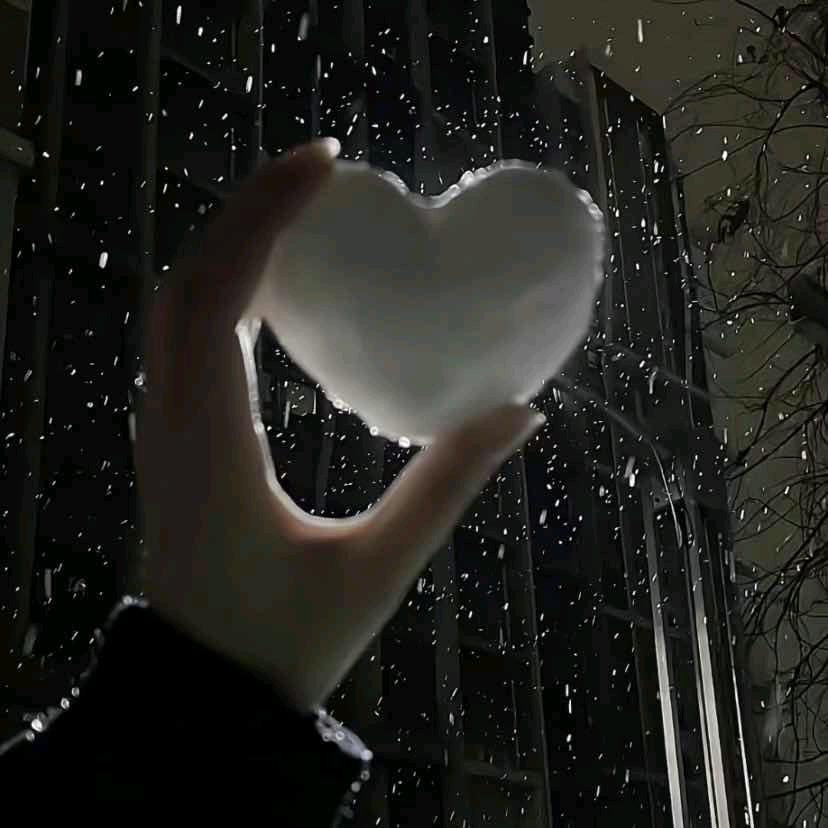 ꦿ᭄໊孤芳自赏᭄ღ