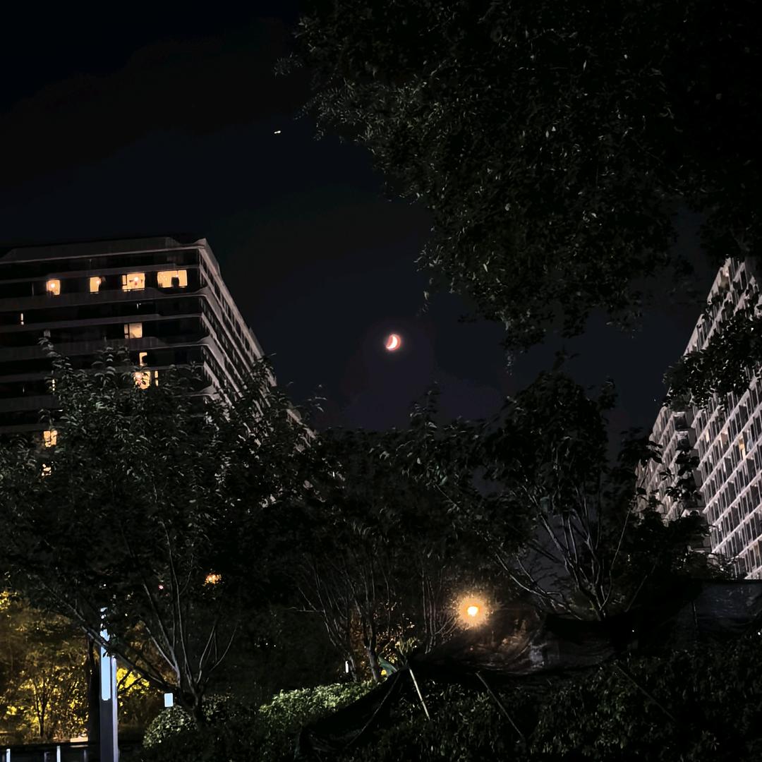 ████████