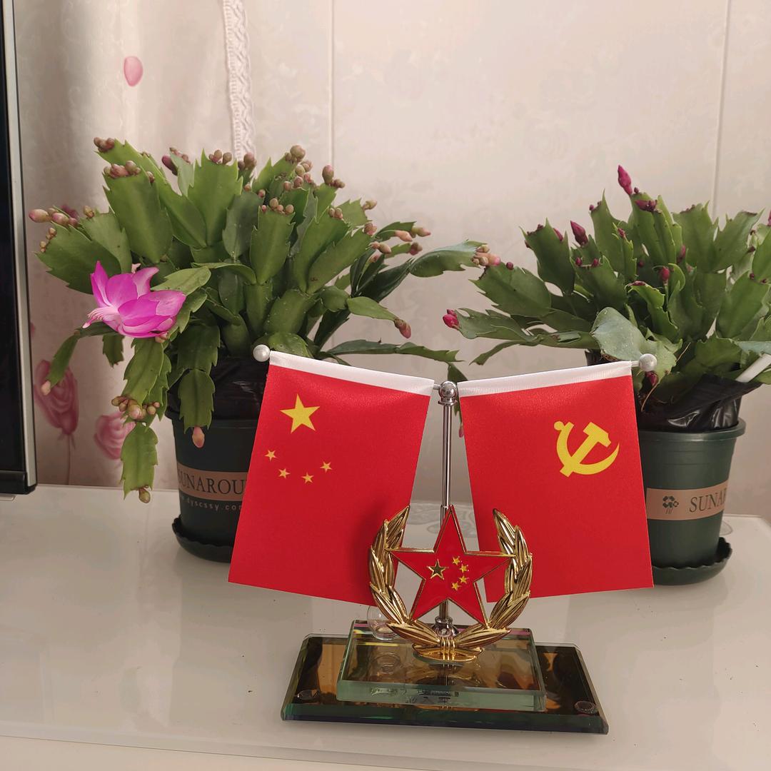 金链儿
