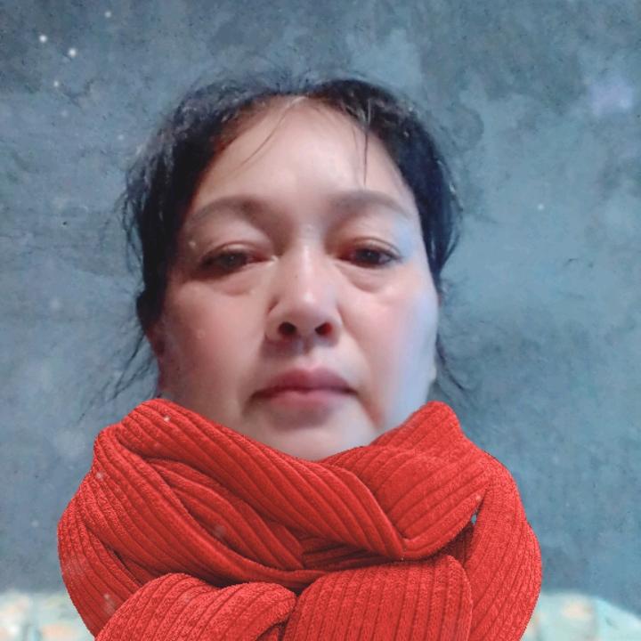 芬姐（首播筹备中）
