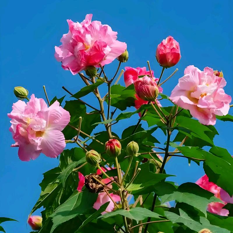 实话实说八方来财