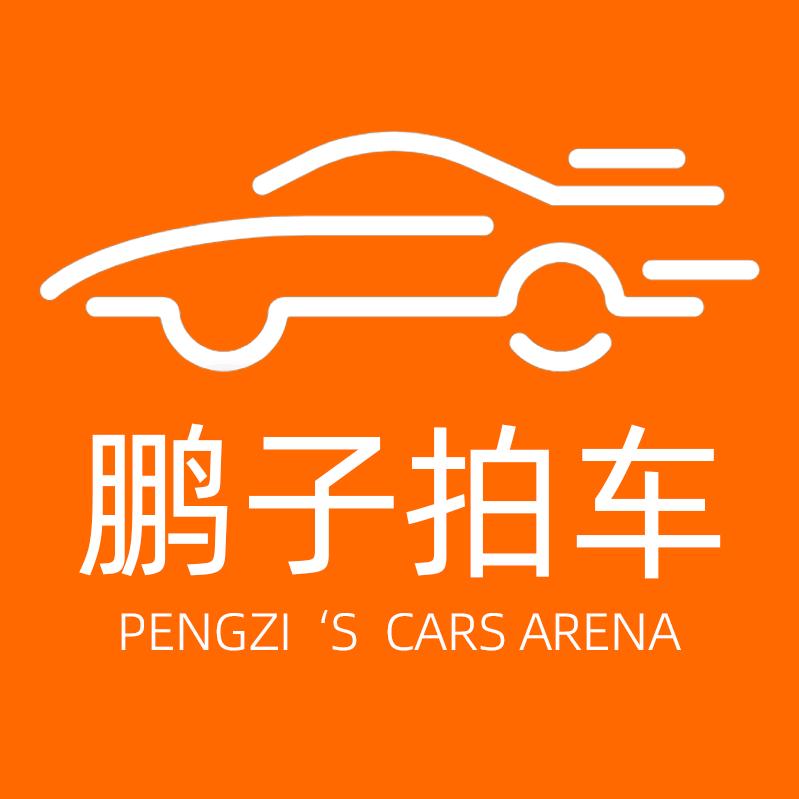 鹏子拍车