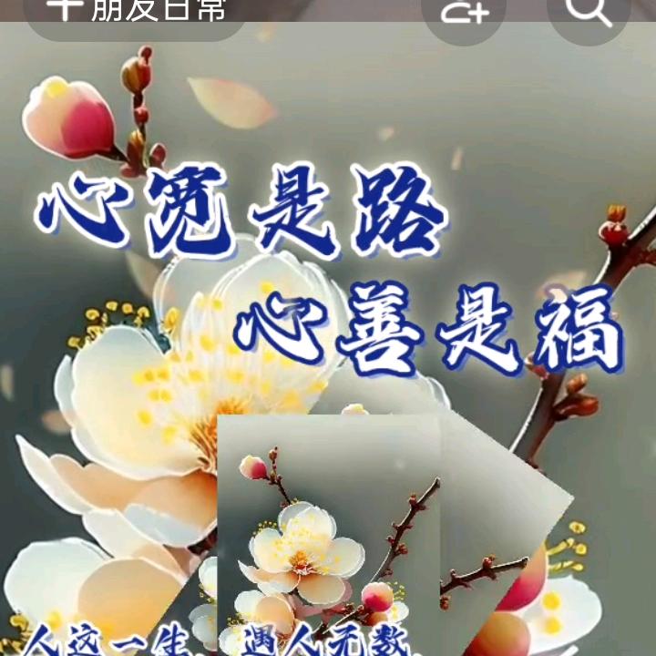 决策
