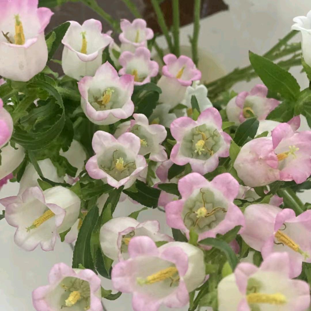 庭菀的好物分享