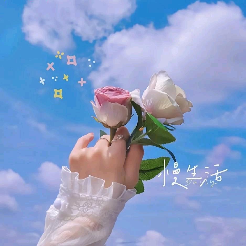 倚窗听花雨
