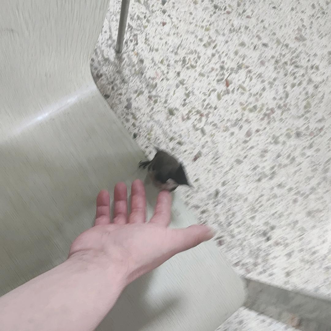 ✺◟(∗❛ัᴗ❛ั∗)◞✺
