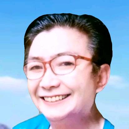 诸联币阖