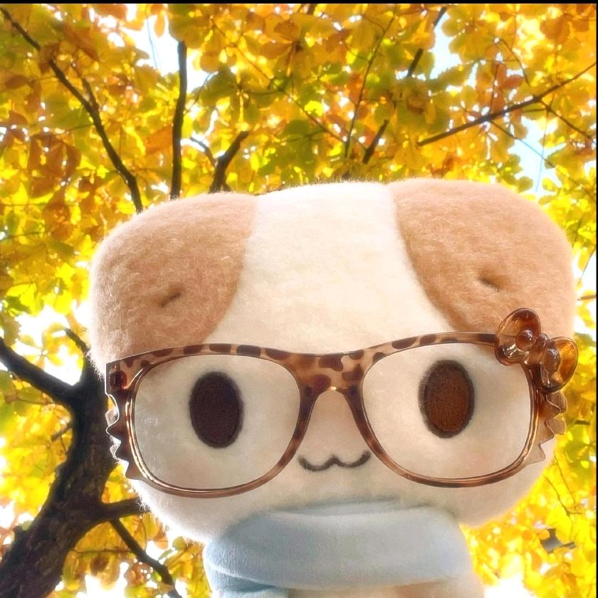 橙黄橘绿时&秋🍊