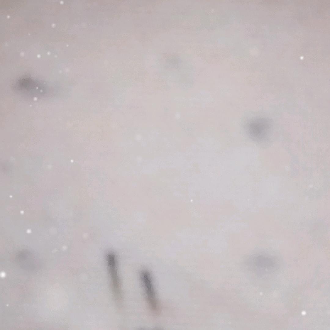 儋州兴利阿英