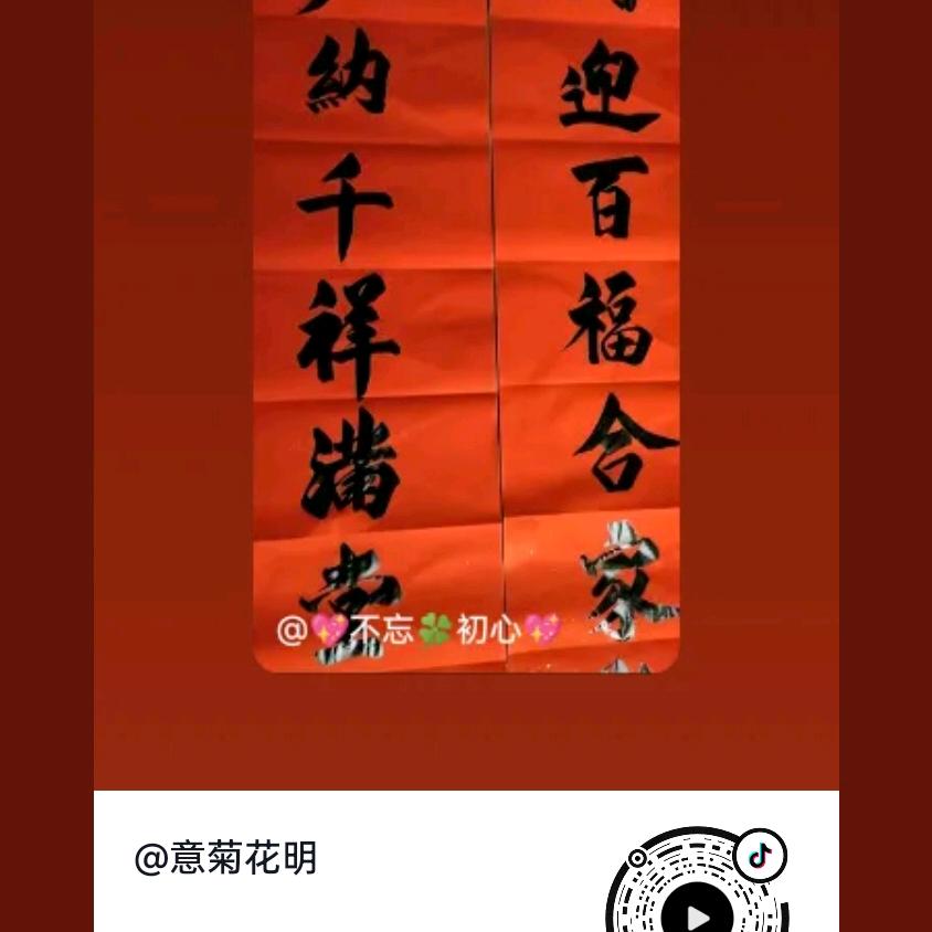 意菊花明