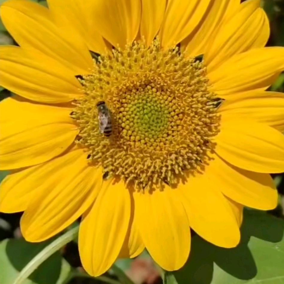心态好一切都好！