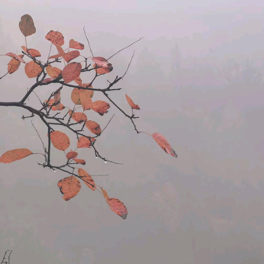 我有家庭别找我。