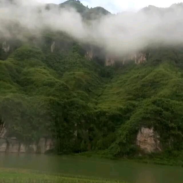 永远幸福