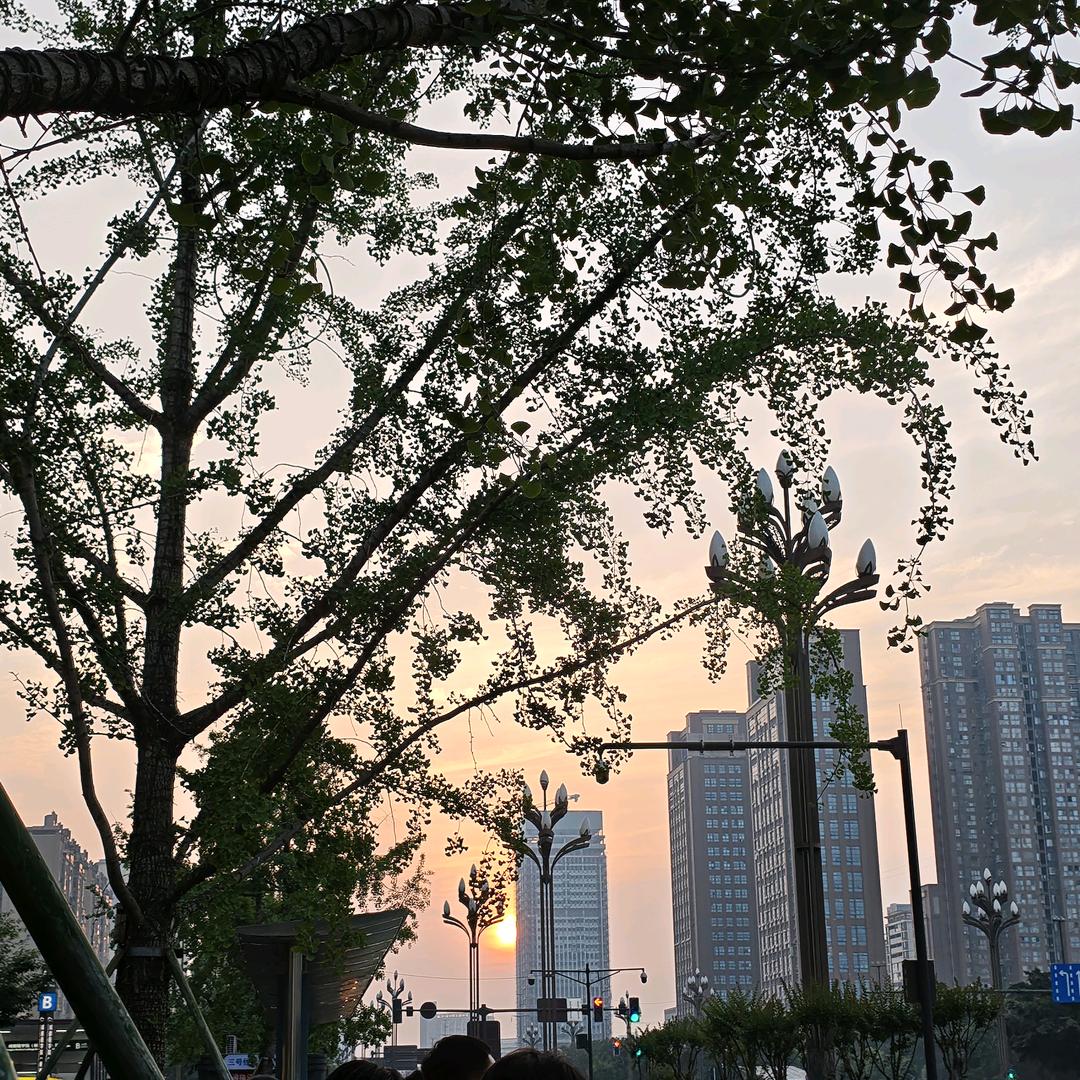 小叶/西昌金楠全屋定制