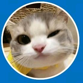 盐焗小星球(🍁⥎🍁)(备考版)