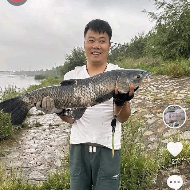 四哥出征，寸草不生