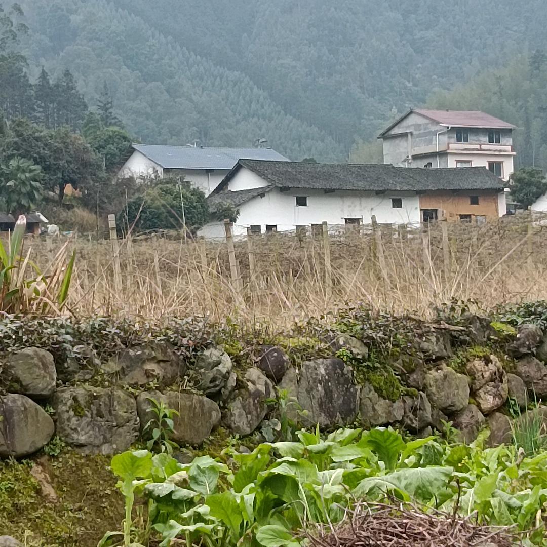 画艺人生画中世界