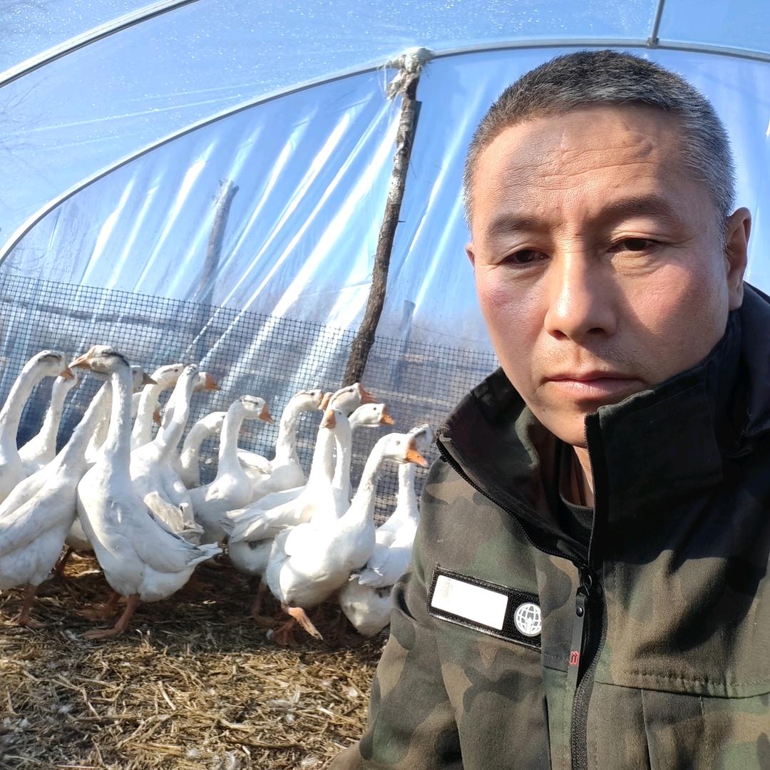 东北胖哥农产品