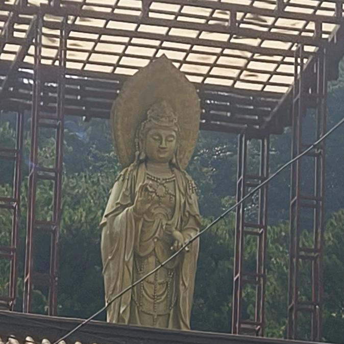从头开始