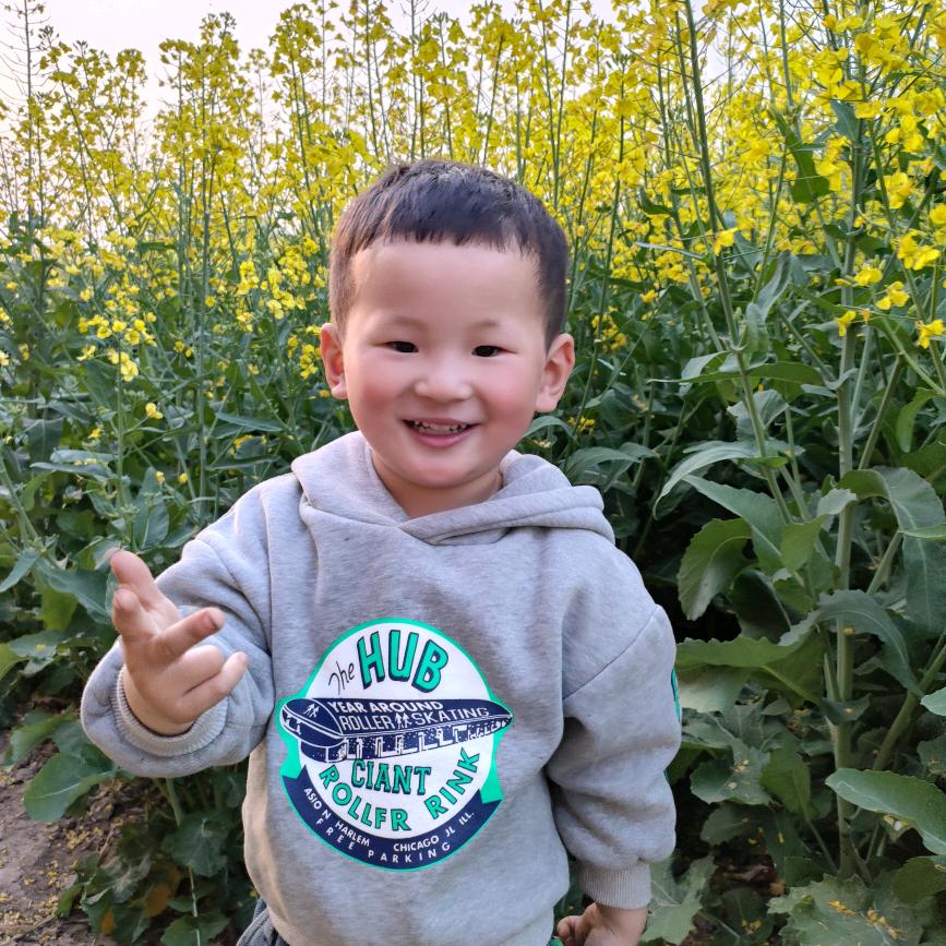 王芬