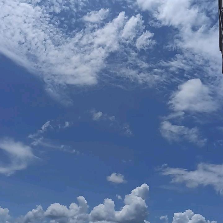 心静