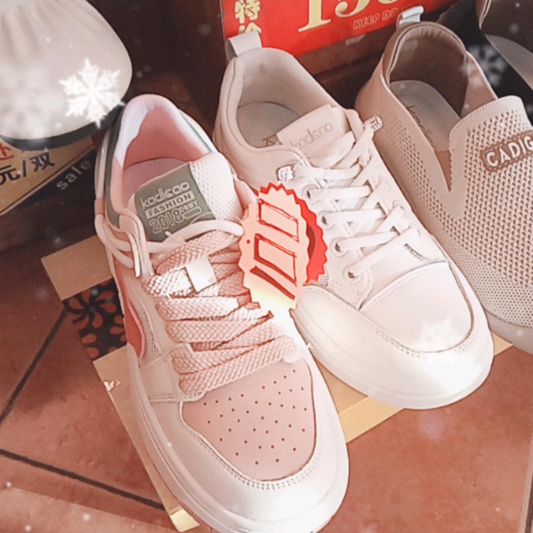 26号