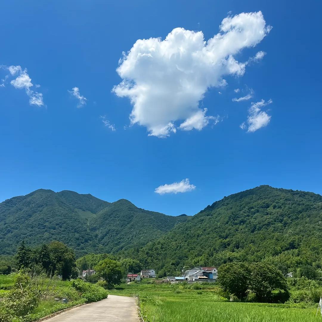 小豪助农记(⌒o⌒)