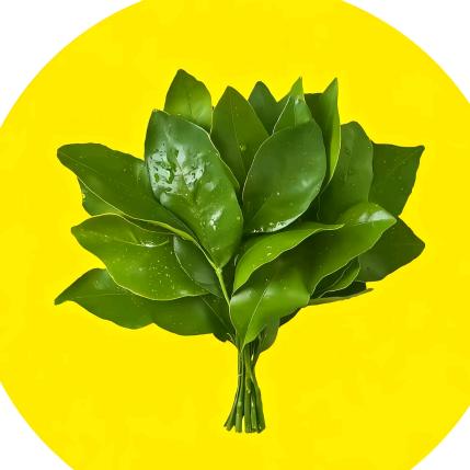 清華