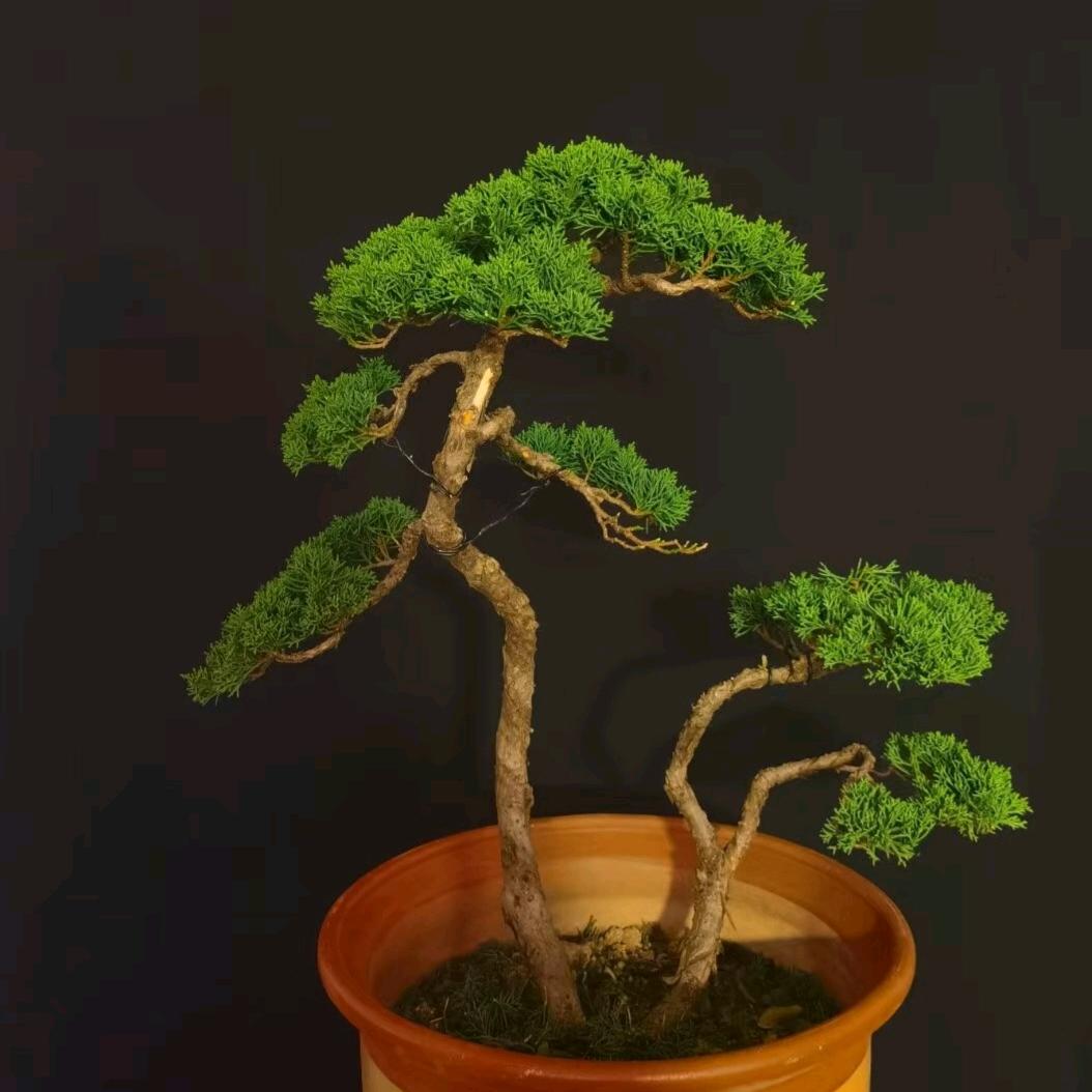 糖᭄不甜