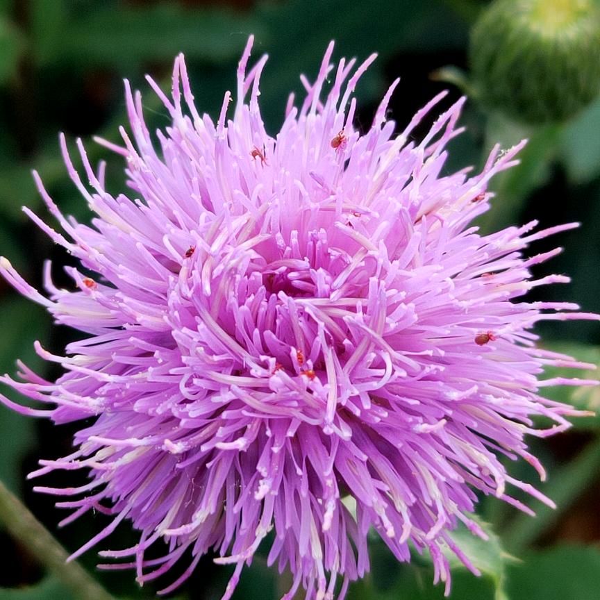 遇上你是我的缘