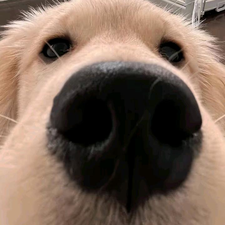 叁肆