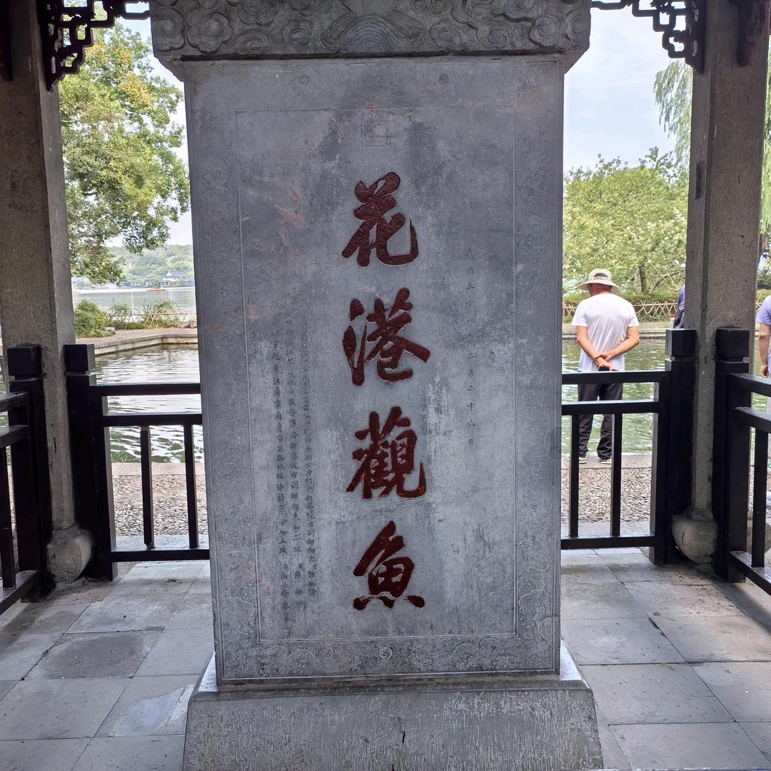 卖水果的新手