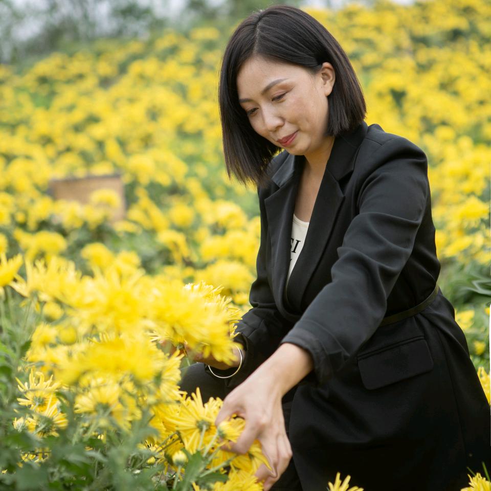 垫江金元现卤全牛汤锅