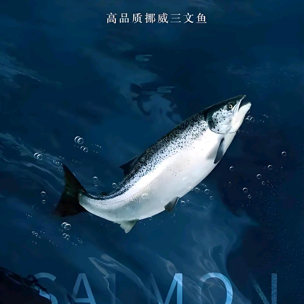 兰亭叙｜东方美学料理（全国批发）