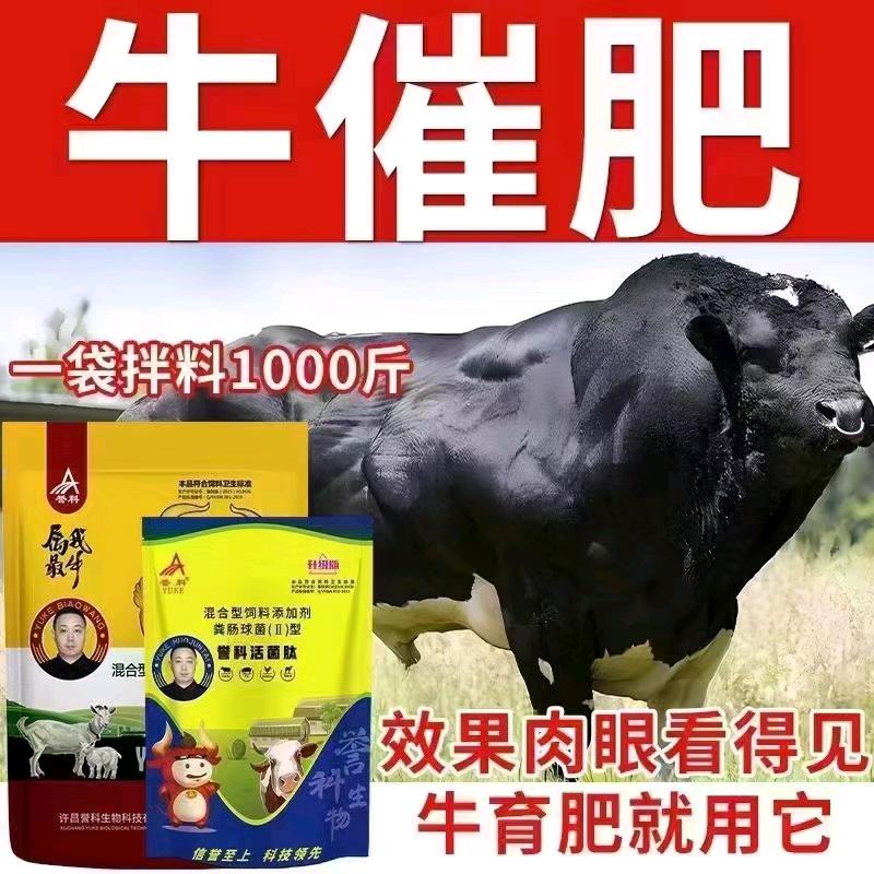 誉科膘王源头工厂