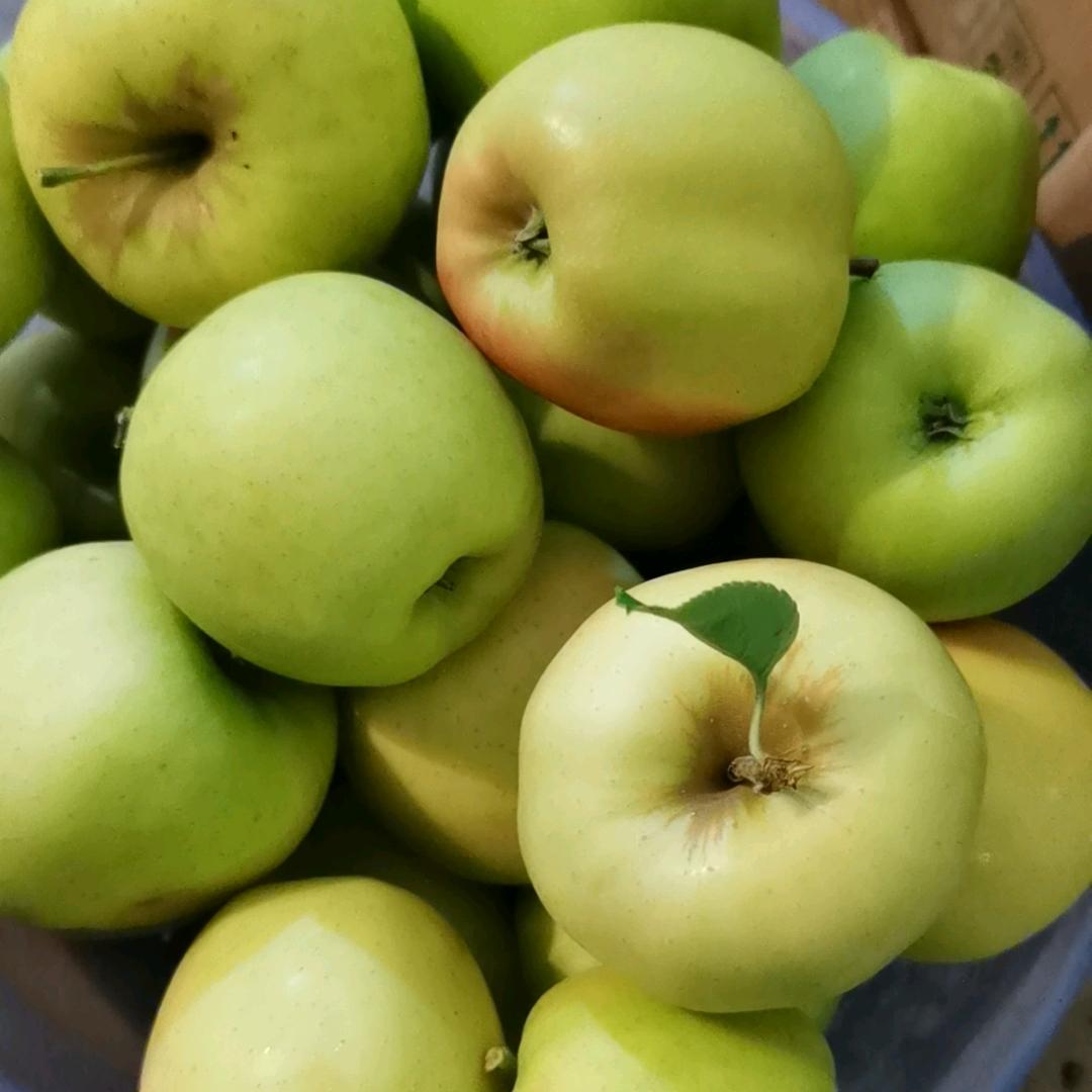 小金喜娃特产店