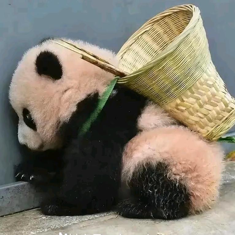 友宜添🍃