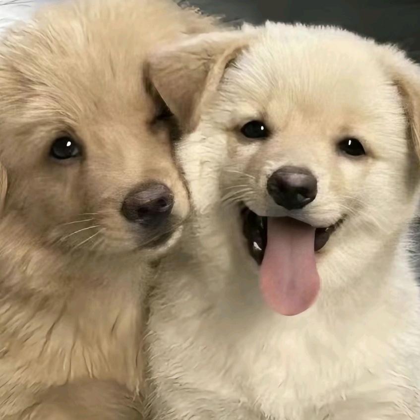 。？！