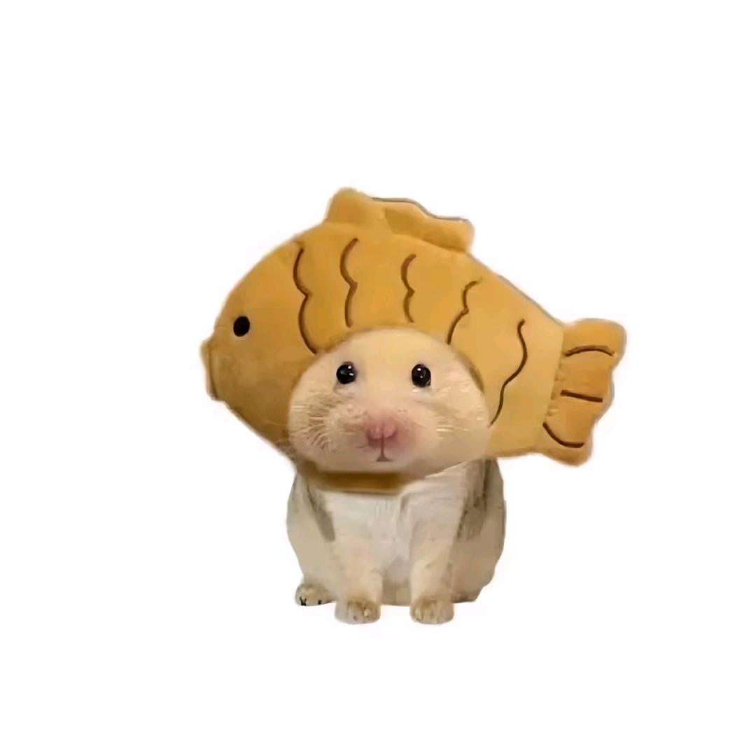 一会见