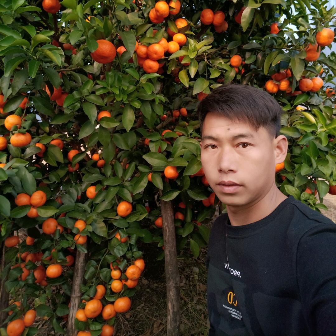 小魏老师的果园